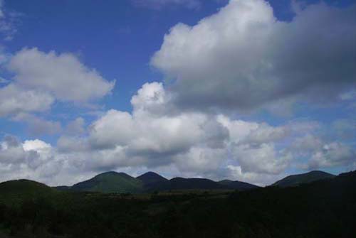 ����������� ���� 2009 � 1389.org.rs